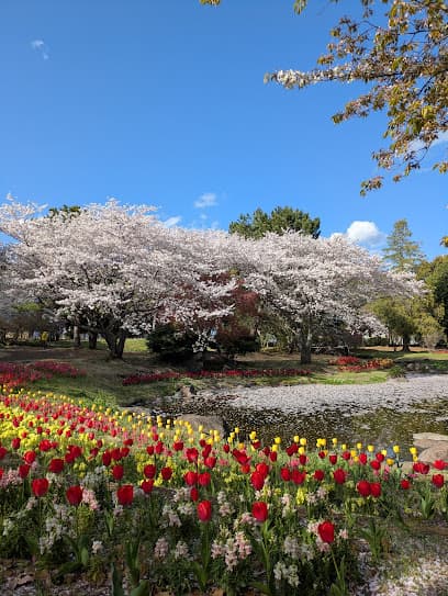 別府公園